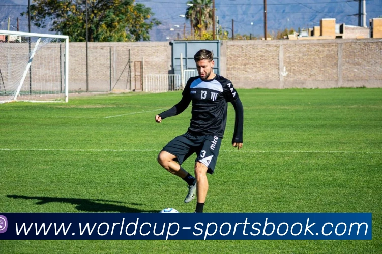 世界杯博彩服务体系